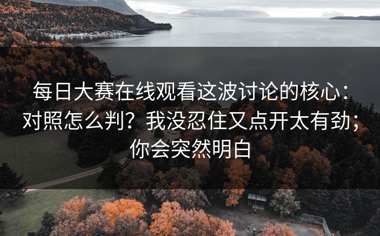 每日大赛在线观看这波讨论的核心：对照怎么判？我没忍住又点开太有劲；你会突然明白